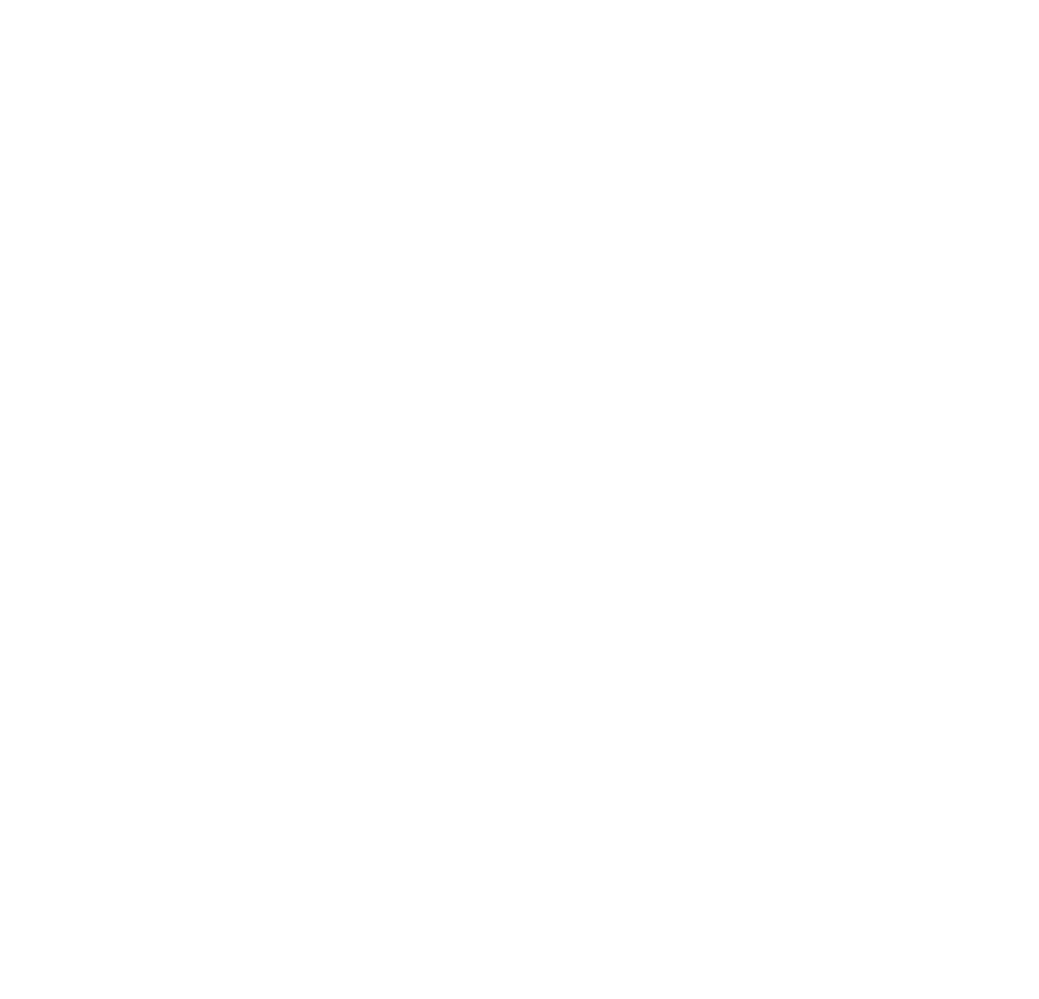 Meta and Google Ads service icon for paid media campaigns and lead generation by NMS Techsavants